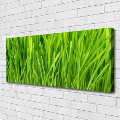 Print van doek Grass nature plant