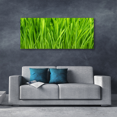 Print van doek Grass nature plant