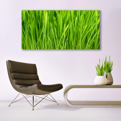 Print van doek Grass nature plant