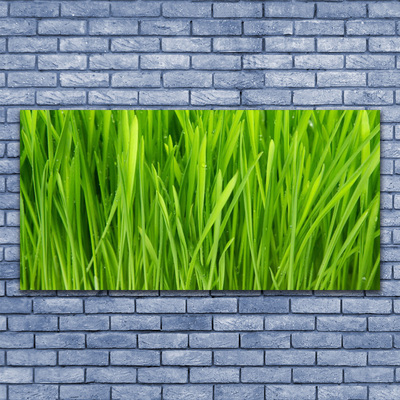 Print van doek Grass nature plant