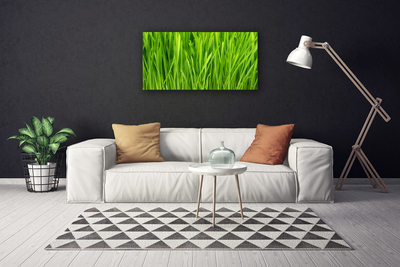 Print van doek Grass nature plant