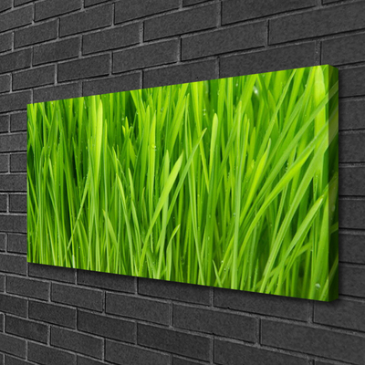 Print van doek Grass nature plant