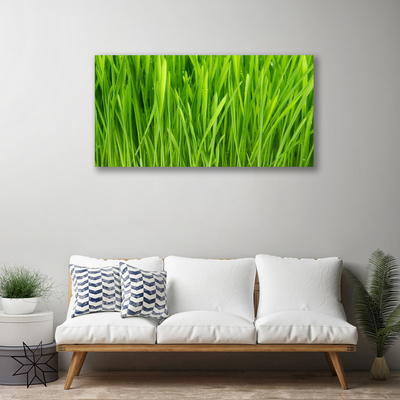 Print van doek Grass nature plant