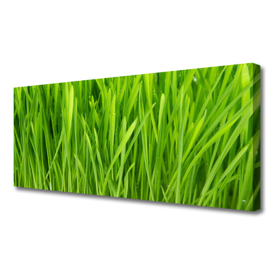 Print van doek Grass nature plant