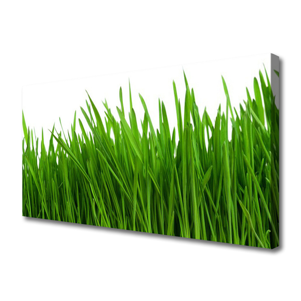 Print van doek Grass nature plant