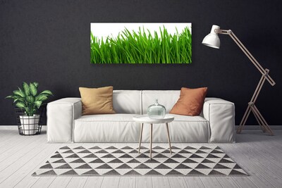 Print van doek Grass nature plant