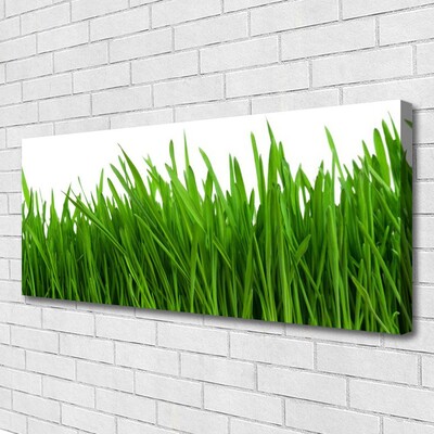 Print van doek Grass nature plant