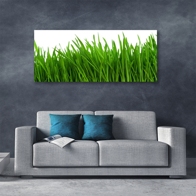 Print van doek Grass nature plant