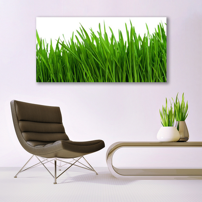 Print van doek Grass nature plant