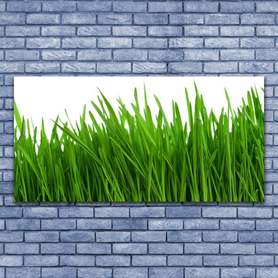 Print van doek Grass nature plant