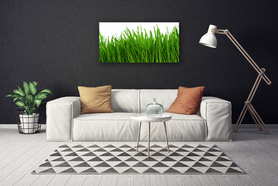 Print van doek Grass nature plant