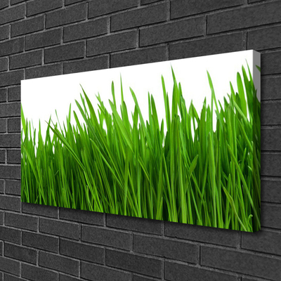 Print van doek Grass nature plant