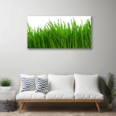 Print van doek Grass nature plant