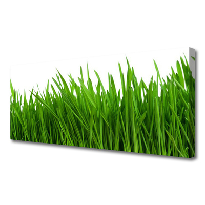 Print van doek Grass nature plant