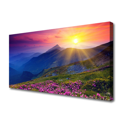 Print van doek Flower mountain meadow landscape