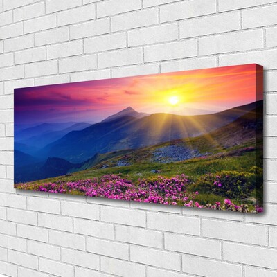 Print van doek Flower mountain meadow landscape