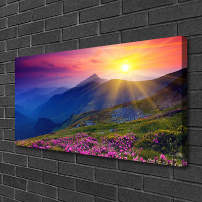 Print van doek Flower mountain meadow landscape