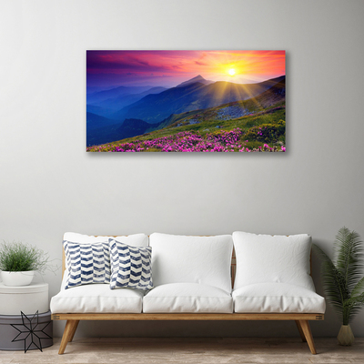 Print van doek Flower mountain meadow landscape