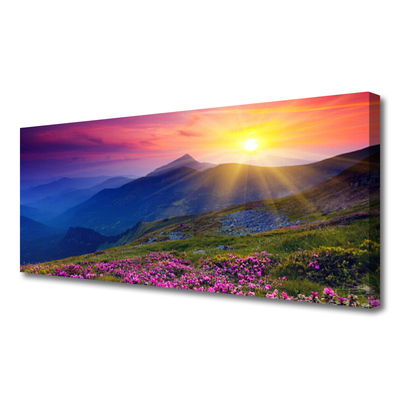 Print van doek Flower mountain meadow landscape