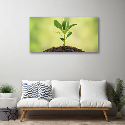 Print van doek Earth plant groei