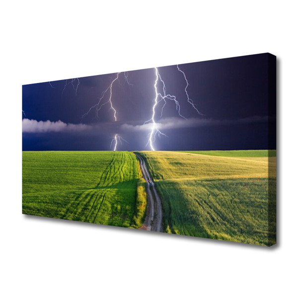 Print van doek Lightning veld landschap