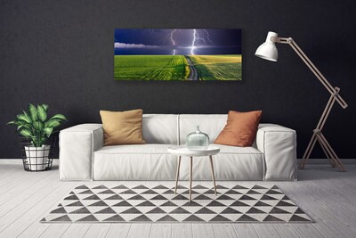 Print van doek Lightning veld landschap