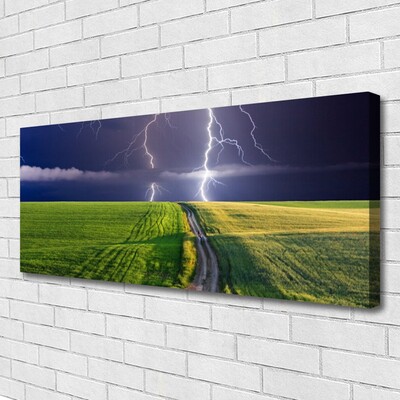 Print van doek Lightning veld landschap