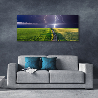 Print van doek Lightning veld landschap