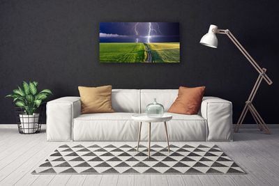 Print van doek Lightning veld landschap