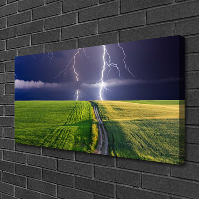 Print van doek Lightning veld landschap