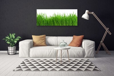 Print van doek Grass nature plant