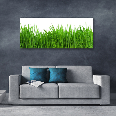 Print van doek Grass nature plant