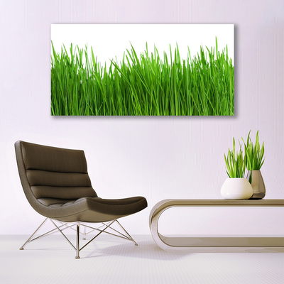 Print van doek Grass nature plant