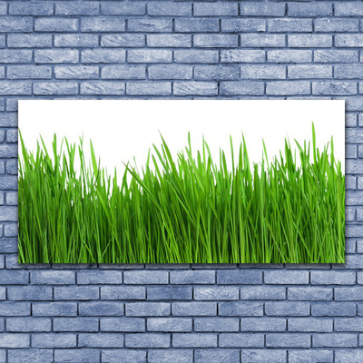 Print van doek Grass nature plant