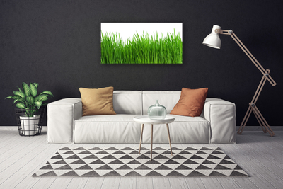 Print van doek Grass nature plant