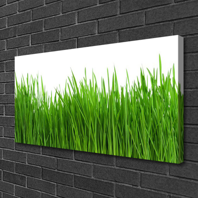 Print van doek Grass nature plant