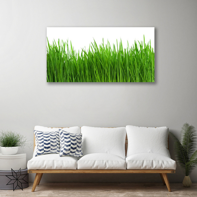 Print van doek Grass nature plant