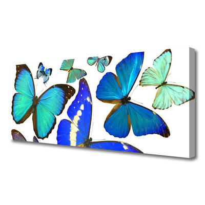 Print van doek Vlinders natuur