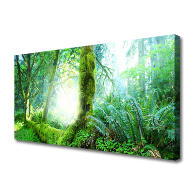 Print van doek Forest moss nature