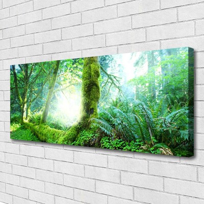 Print van doek Forest moss nature