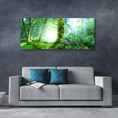 Print van doek Forest moss nature