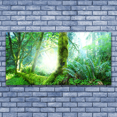 Print van doek Forest moss nature