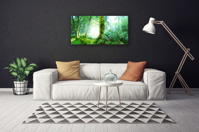 Print van doek Forest moss nature