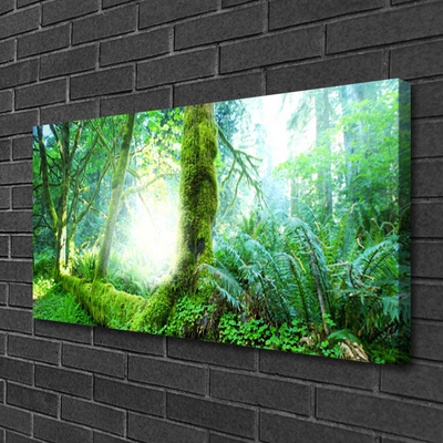 Print van doek Forest moss nature