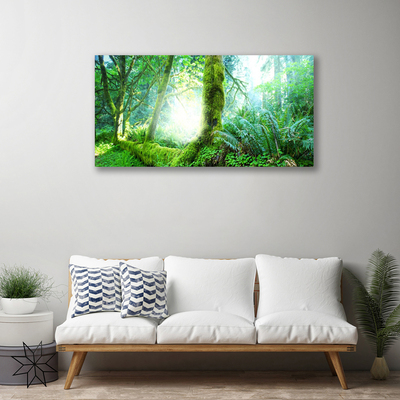 Print van doek Forest moss nature