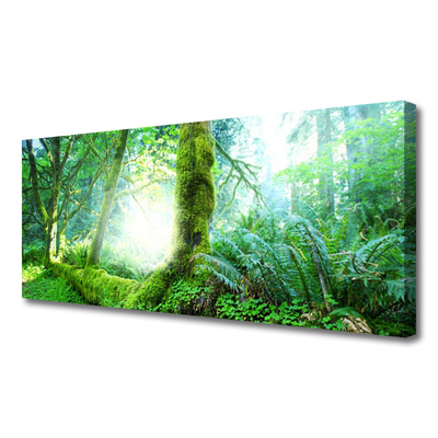 Print van doek Forest moss nature