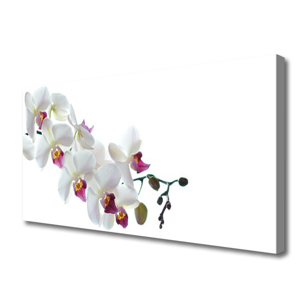 Print van doek Bloemen plant nature