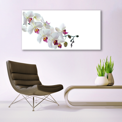 Print van doek Bloemen plant nature