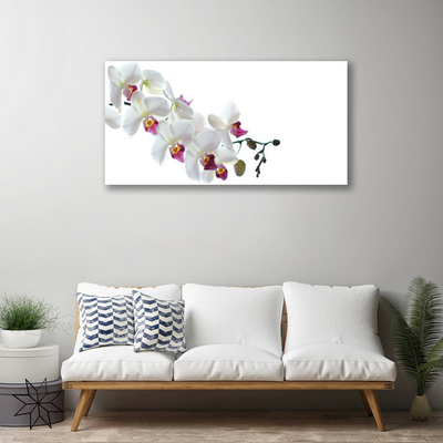 Print van doek Bloemen plant nature