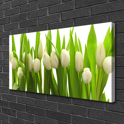 Print van doek Tulpen bloemen plant